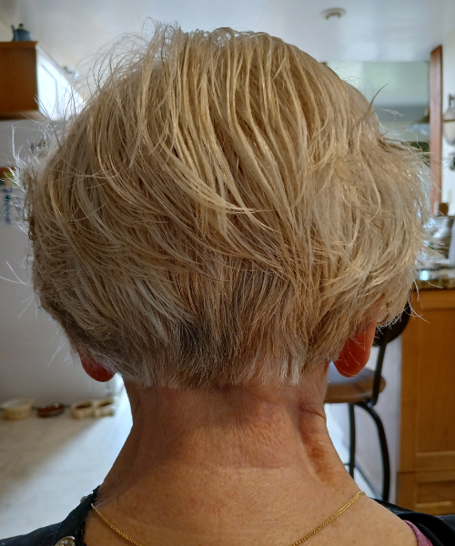 The back of a woman's head with blonde hair